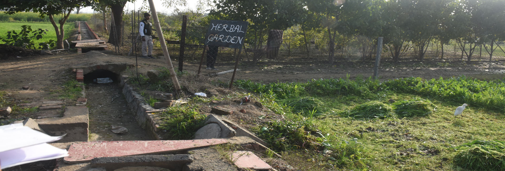 Satya Ayurvedic Medical College